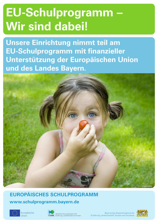 Poster Europäisches Schulprogramm