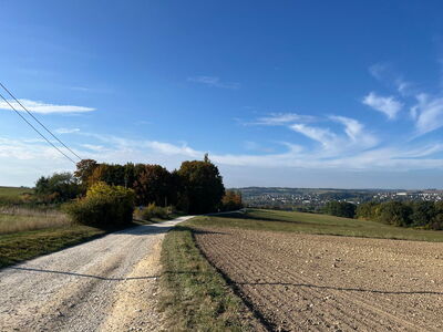 Ein Wanderweg mit Blick auf Sallern