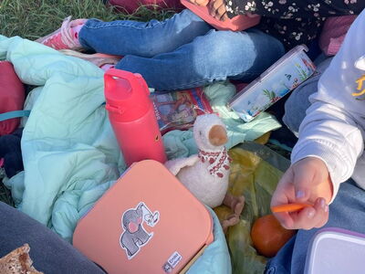 Kinder packen ihre Brotzeit auf einer Wiese aus